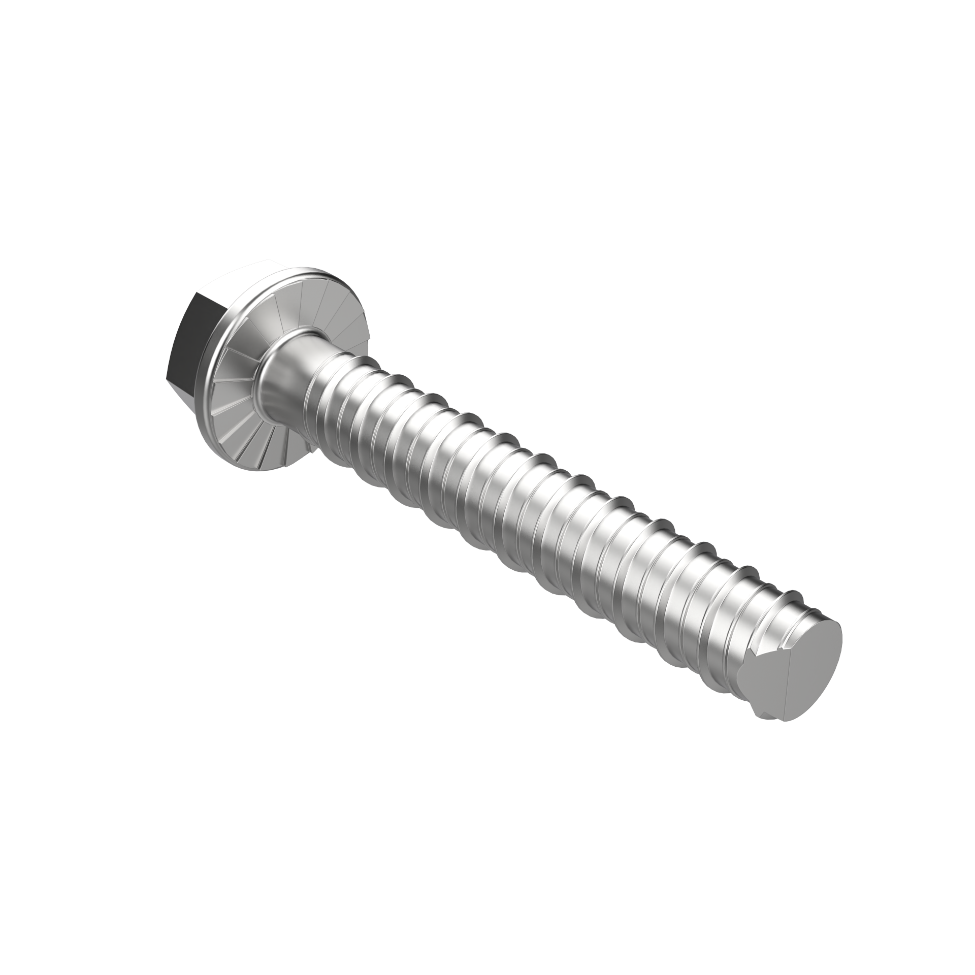 Screw Bolts